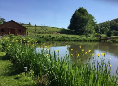 Glampotel at Natural Gardens