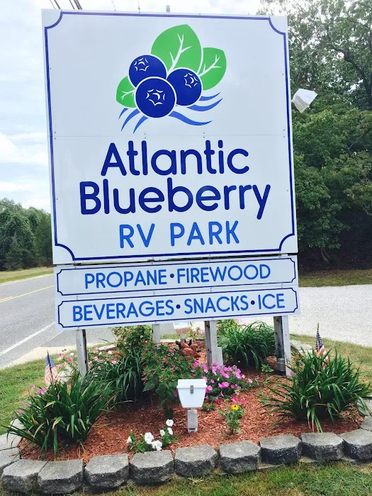Atlantic Blueberry RV Park Picture 5