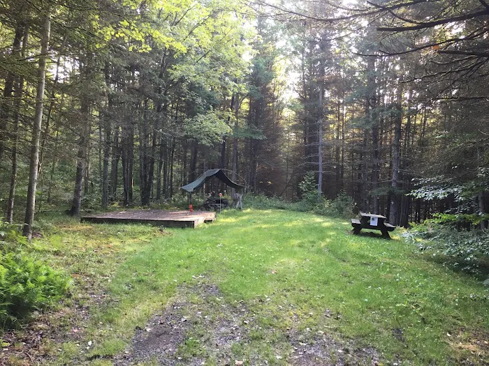 Kingswood Campsite Picture 8