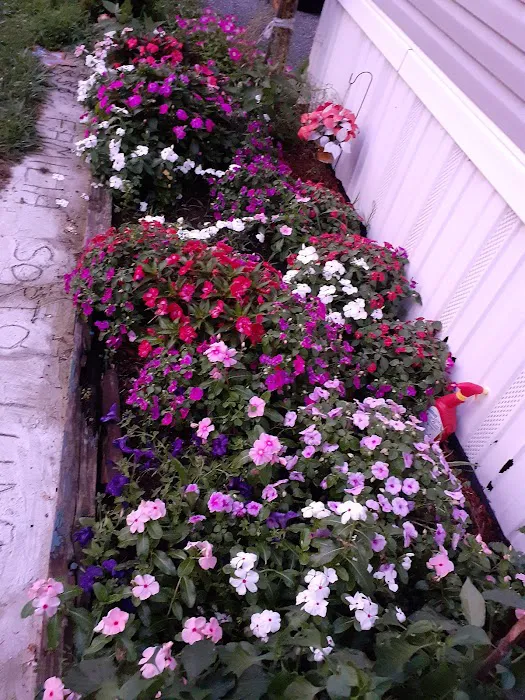 Trailer Rancho Picture 3