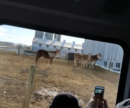 Calamus Estates