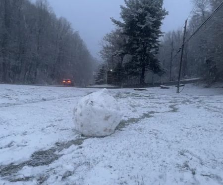 Tamarack Mobile Home Park