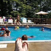 Shore Forest Campground ico