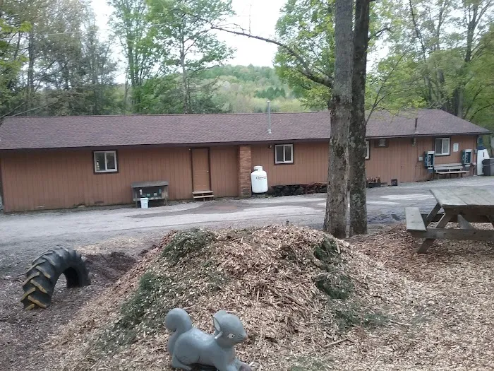 Shore Forest Campground Picture 6