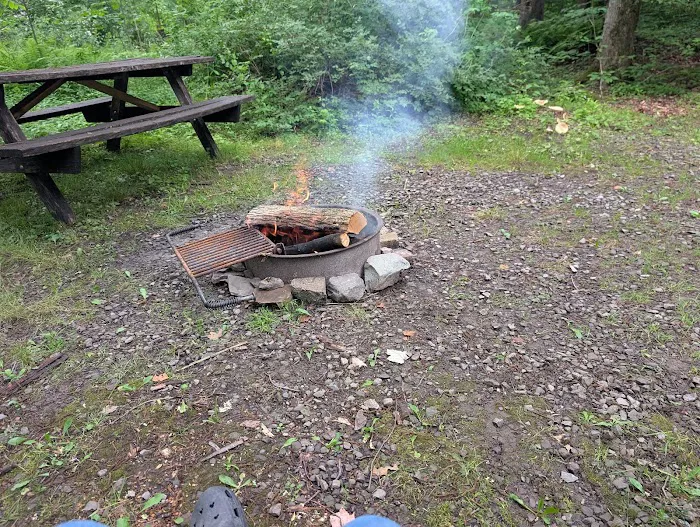 Carpenter Town Camping Picture 4