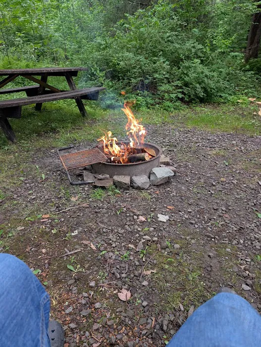 Carpenter Town Camping Picture 2