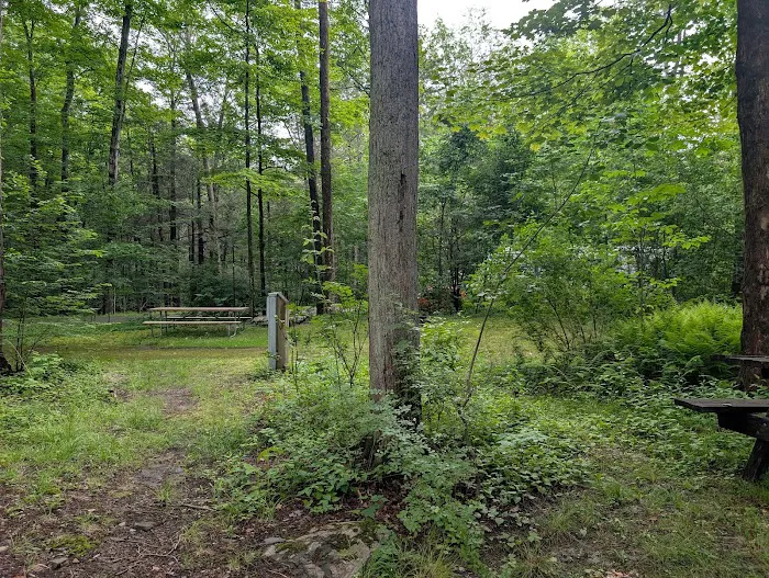 Carpenter Town Camping Picture 6