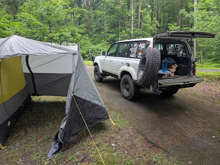 Carpenter Town Camping Picture 1