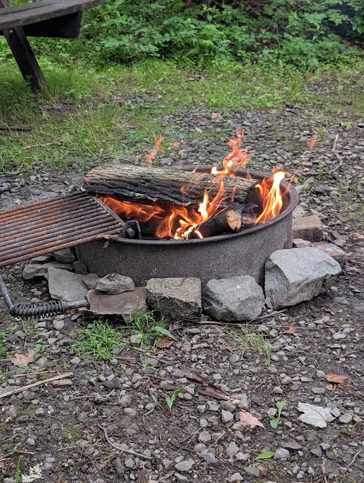 Carpenter Town Camping Picture 8