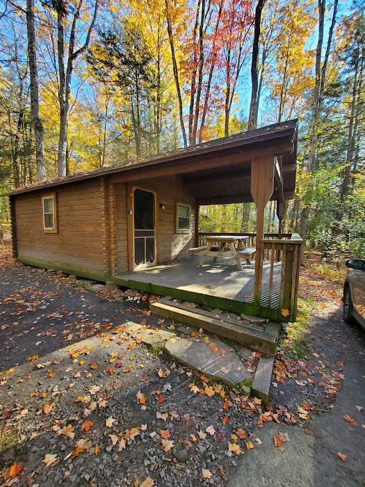 Lackawanna state park campground Picture 1