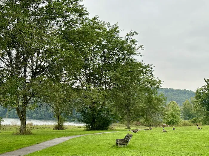 Lackawanna state park campground Picture 4