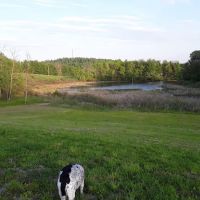 Montrose Campground ico
