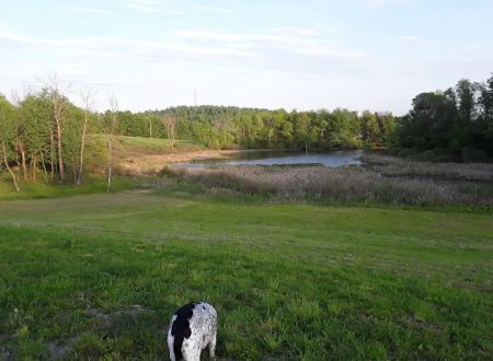 Montrose Campground
