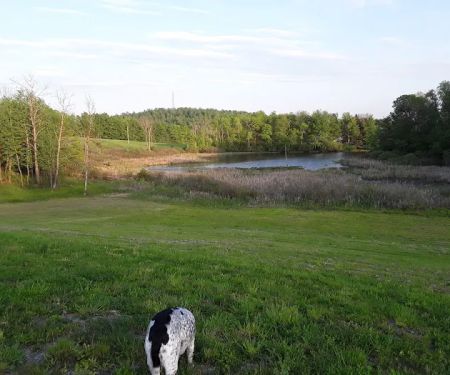 Montrose Campground