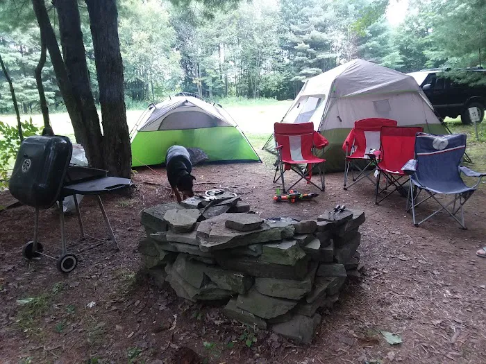 Montrose Campground Picture 6
