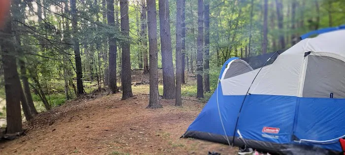 Waterfalls Campsite Picture 1