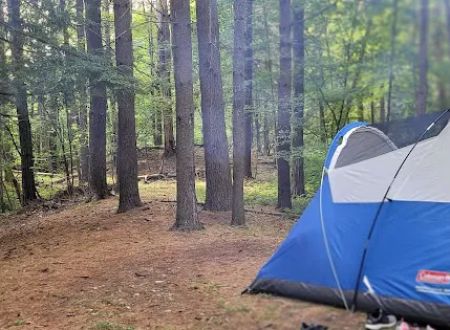 Waterfalls Campsite