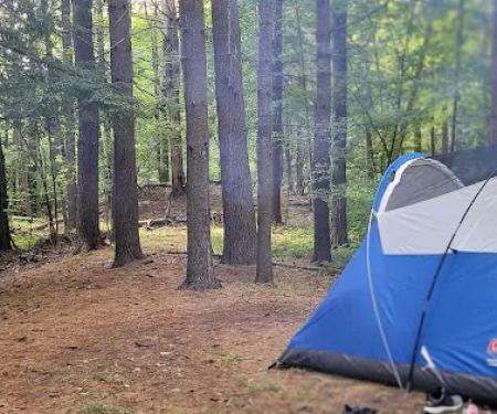 Waterfalls Campsite
