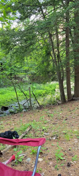Waterfalls Campsite Picture 3