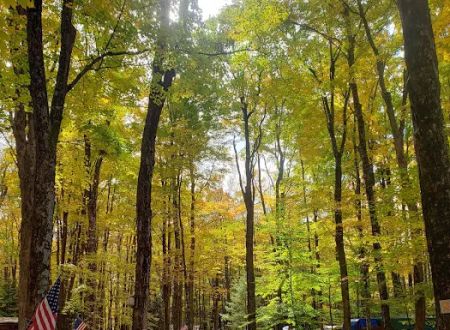 Kinyon's Canyon Campsites