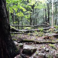 October Mountain State Forest Campground ico