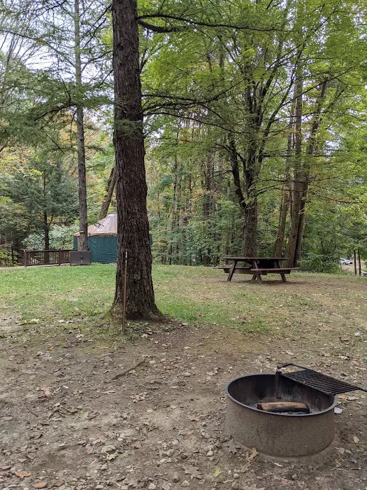 October Mountain State Forest Campground Picture 5