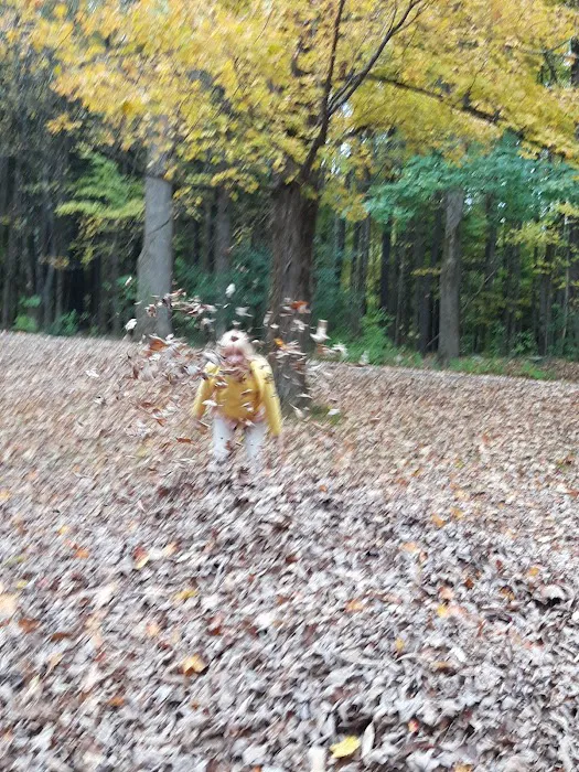 October Mountain State Forest Campground Picture 4