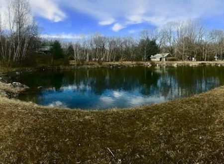 Ponderosa Pine Campground