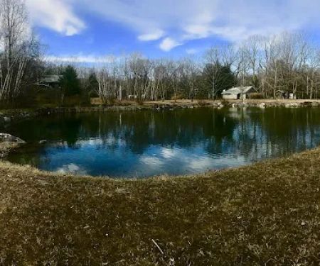 Ponderosa Pine Campground