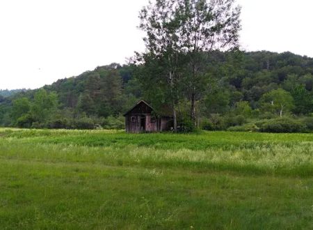 Mountain View Campground