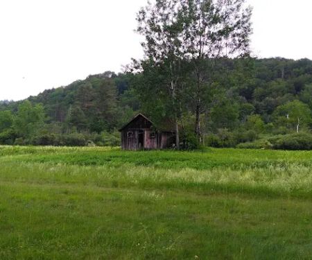 Mountain View Campground