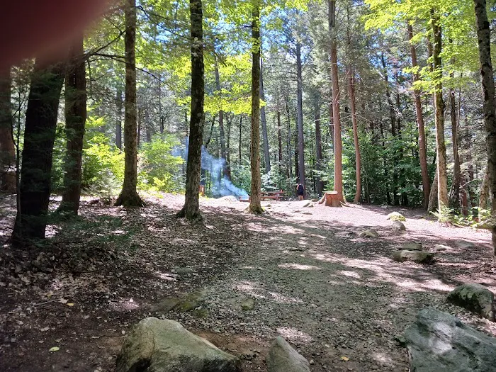 Tolland State Forest Campground Picture 3