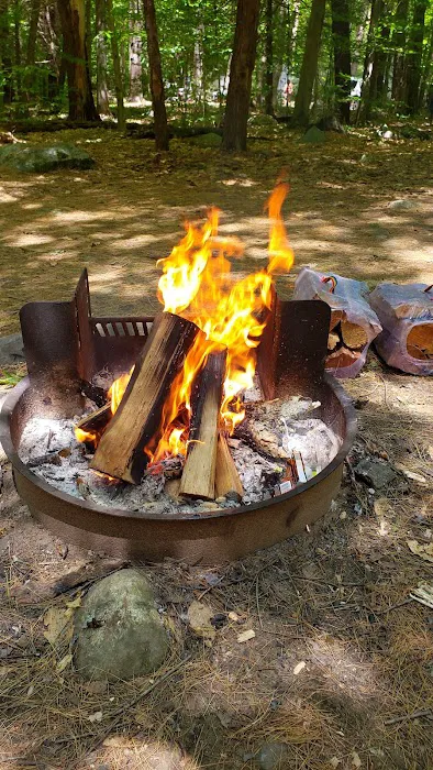 Tolland State Forest Campground Picture 6