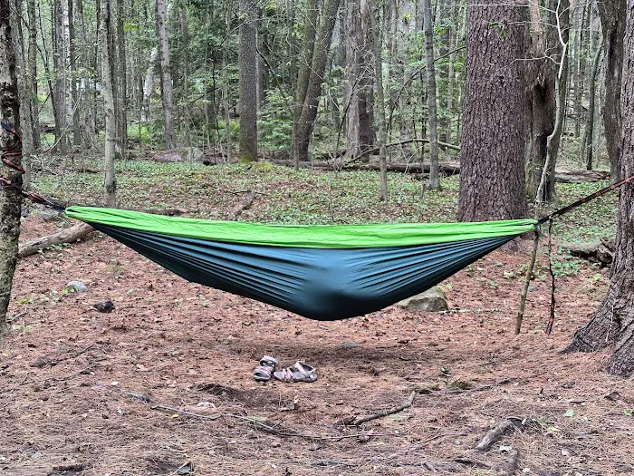 Tolland State Forest Campground Picture 9