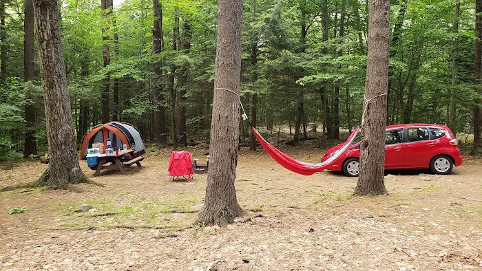 Tolland Campsite #79 Picture 4