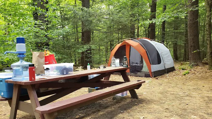 Tolland Campsite #79 Picture 5