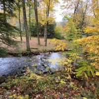 Bonny Rigg Camping Club Inc ico