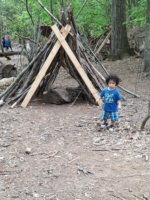 Common Ground Summer Camp Picture 3