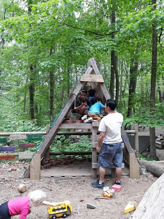 Common Ground Summer Camp Picture 4
