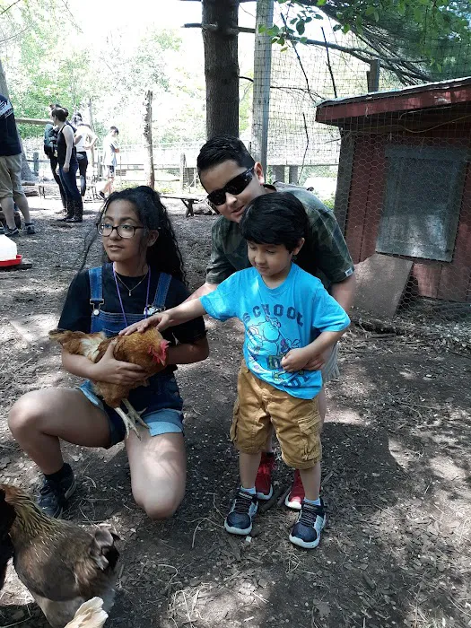 Common Ground Summer Camp Picture 7