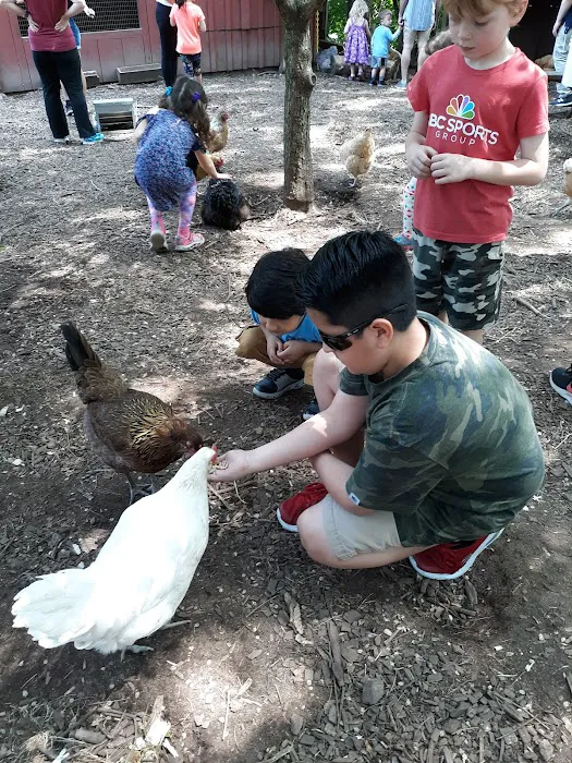 Common Ground Summer Camp Picture 9