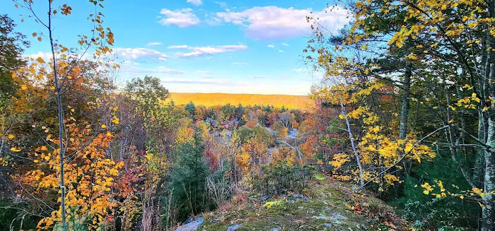 Pioneer Valley RV Campground Picture 10