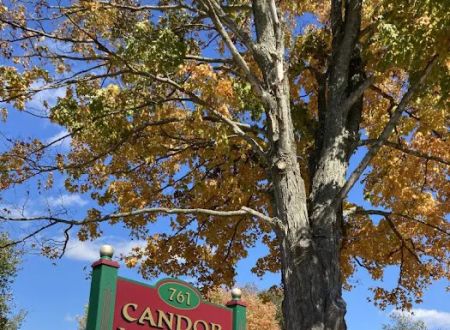 Candor Landing Mobile Home Community