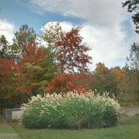 Lakeview Country Estates ico