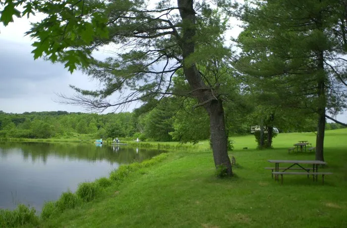 Cooperstown Beaver Valley Cabins & Campsites Picture 1