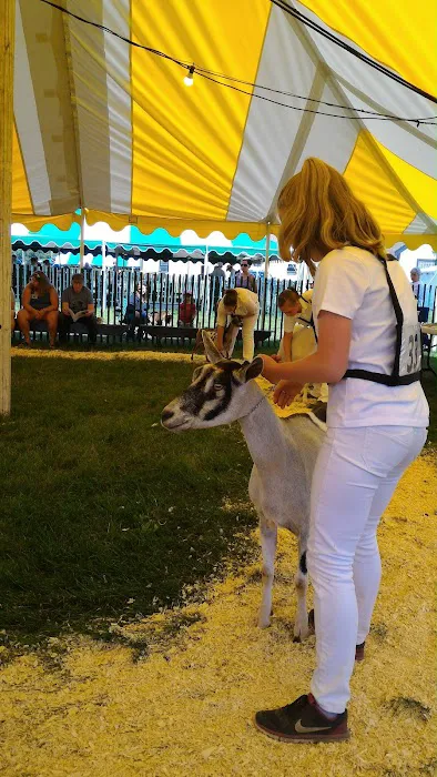 Iroquois Farm Showgrounds Picture 8