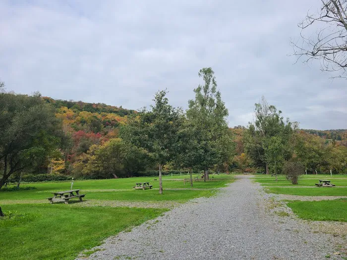 Susquehanna Trail Campground Oneonta NY Picture 7