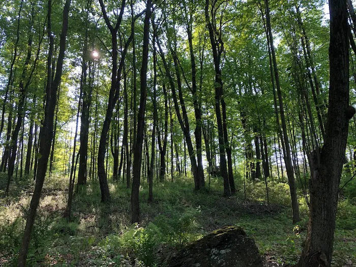 Red Creek Hideaway Picture 6