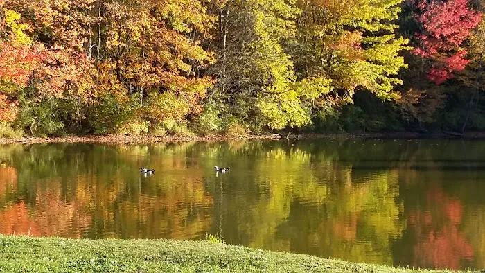 Cooperstown Family Campground Picture 7