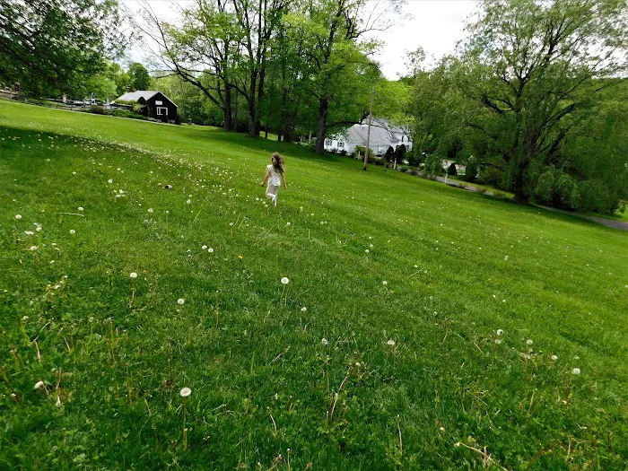 Belvedere Lake Resort Picture 10